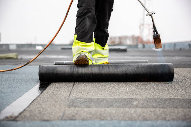 Best Asphalt Shingles Roofing  in Westport, NC